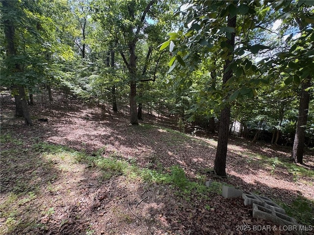 1389 Chimney Pt, Sunrise Beach, MO 65079 - photo 27