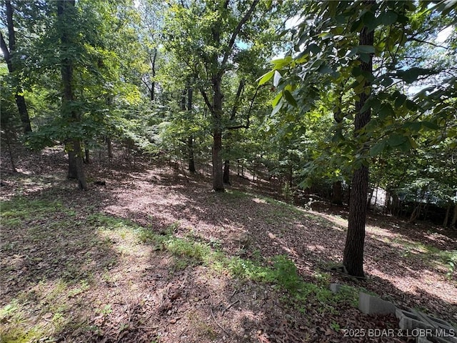 1389 Chimney Pt, Sunrise Beach, MO 65079 - photo 28