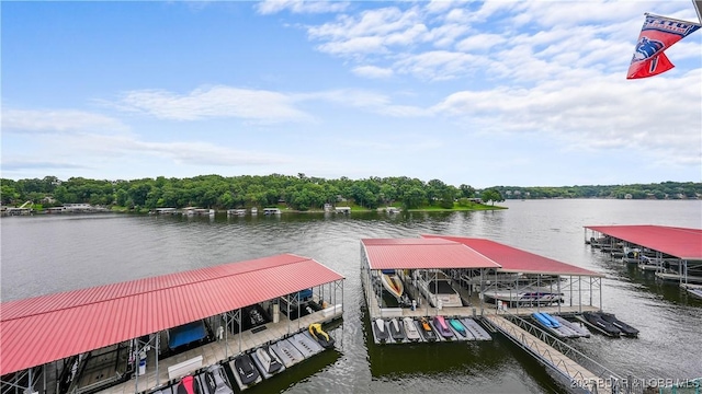 194 Sac Rd Unit D302, Sunrise Beach, MO 65079 - photo 36