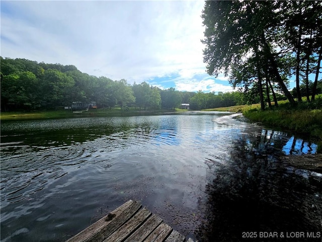 6908 Coon Club Rd # 3, Versailles, MO 65084 - photo 29