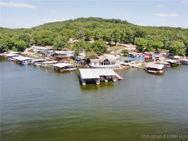 436 Putt-N-Bay Dr, Sunrise Beach, MO 65079 - photo 30