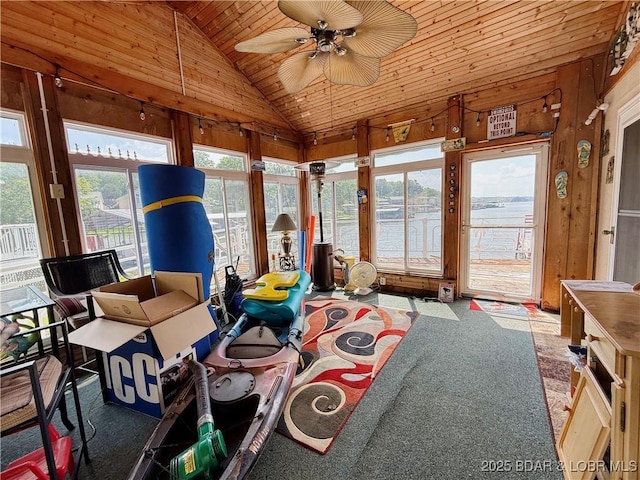 436 Putt-N-Bay Dr, Sunrise Beach, MO 65079 - photo 34