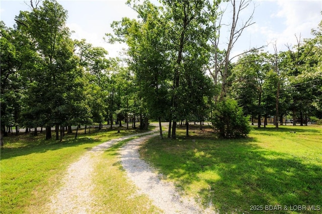 669 Ha Ha Tonka Rd, Camdenton, MO 65020 - photo 6