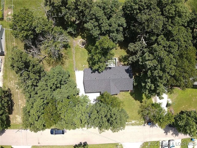 75 Forestway Dr, Camdenton, MO 65020 - photo 35