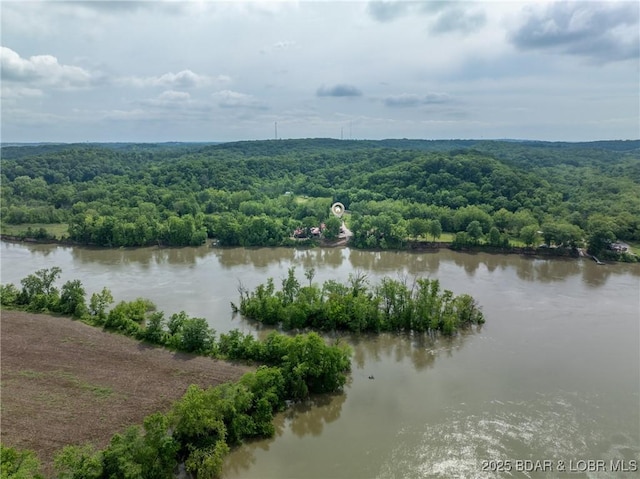 20 Eagle View Ln, Lake Ozark, MO 65049 - photo 31