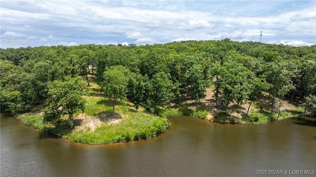 LOT2 Villages Blvd, Villages, MO 65079 - photo 4