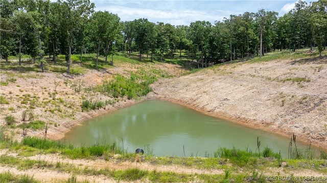 LOT2 Villages Blvd, Villages, MO 65079 - photo 9