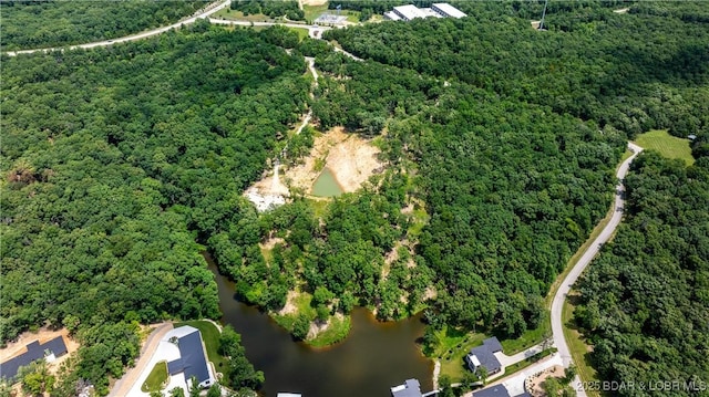 LOT2 Villages Blvd, Villages, MO 65079 - photo 15