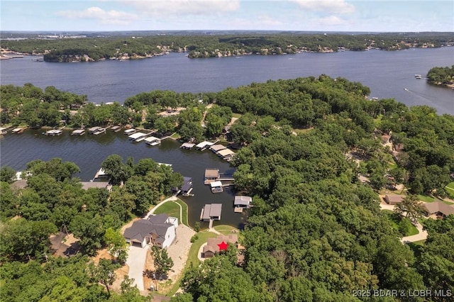 171 Sailaway Bay Dr, Sunrise Beach, MO 65079 - photo 49