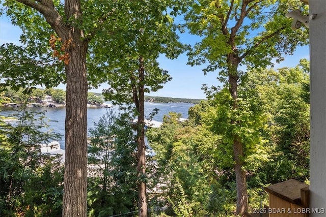 91 Wheel House Cir Unit 12, Lake Ozark, MO 65049 - photo 16