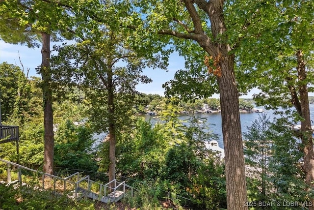 91 Wheel House Cir Unit 12, Lake Ozark, MO 65049 - photo 17
