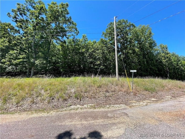LOTS1393 Ashton Ln, Camdenton, MO 65020 - photo 3