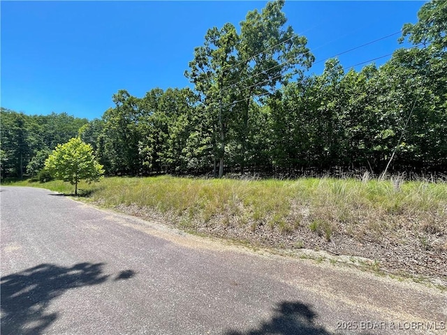 LOTS1393 Ashton Ln, Camdenton, MO 65020 - photo 4
