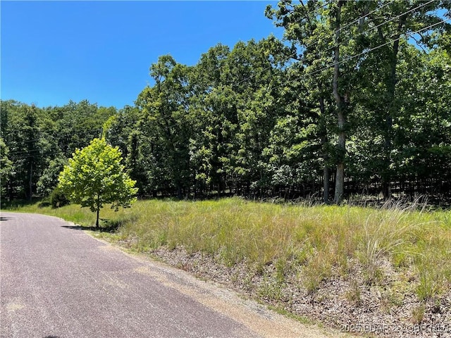 LOTS1393 Ashton Ln, Camdenton, MO 65020 - photo 5