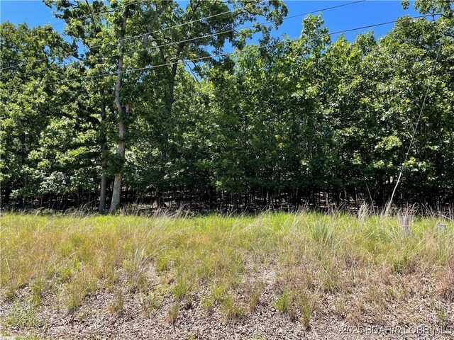 LOTS1393 Ashton Ln, Camdenton, MO 65020 - photo 6