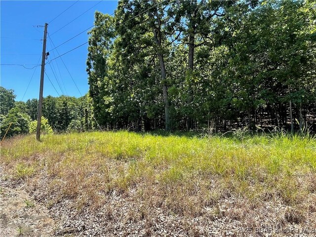 LOTS1393 Ashton Ln, Camdenton, MO 65020 - photo 8