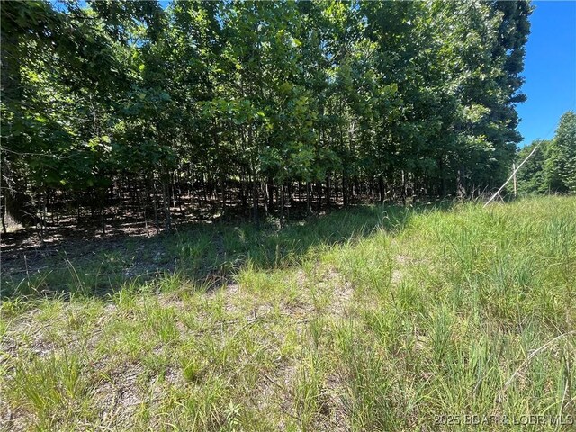 LOTS1393 Ashton Ln, Camdenton, MO 65020 - photo 9