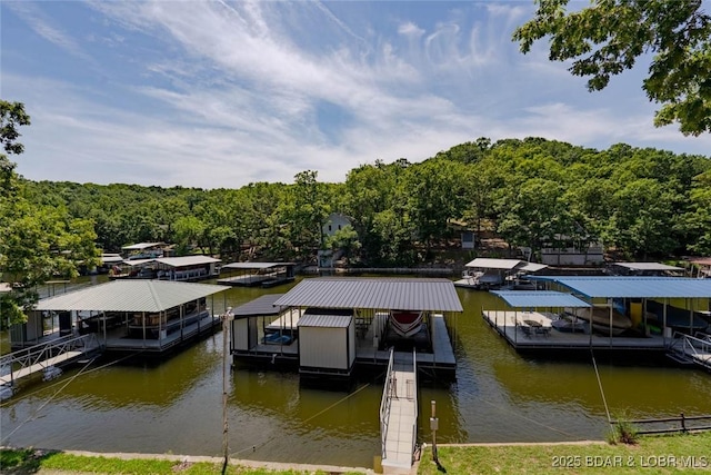 30403 Blossom Dr, Rocky Mount, MO 65037 - photo 30