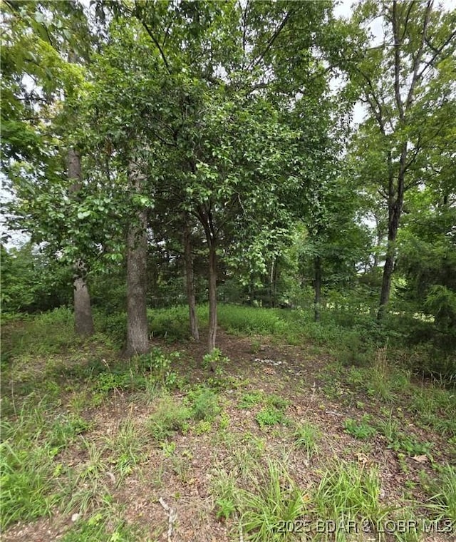 LOT82 Highline Rd, Lake Ozark, MO 65049 - photo 2