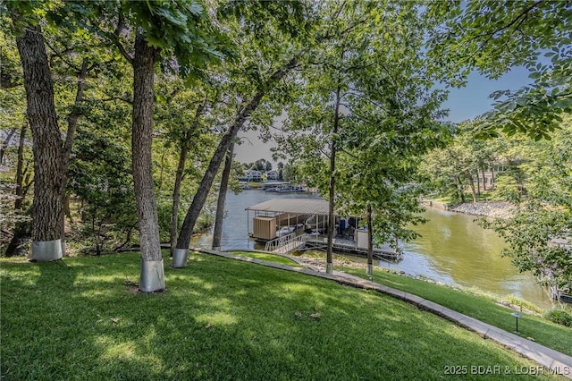 720 Via Del Lago Dr, Sunrise Beach, MO 65079 - photo 42