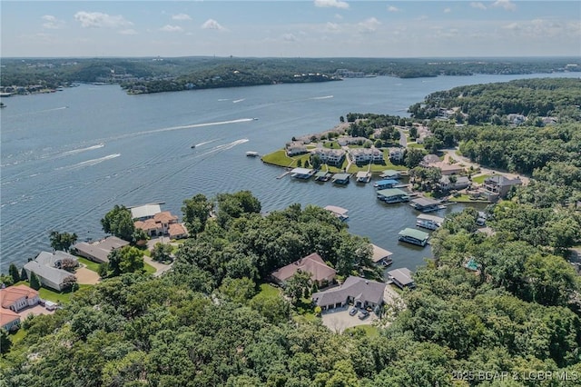 720 Via Del Lago Dr, Sunrise Beach, MO 65079 - photo 47