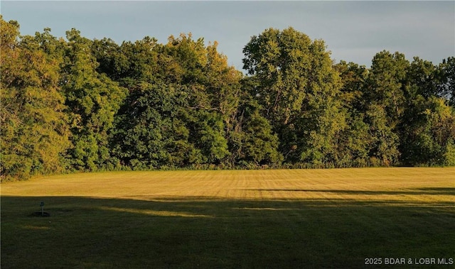 23111 Lange Rd, Cole Camp, MO 65325 - photo 43