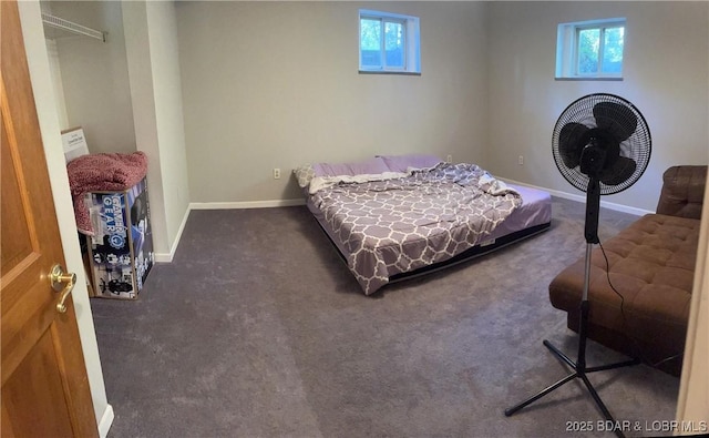 23111 Lange Rd, Cole Camp, MO 65325 - photo 31