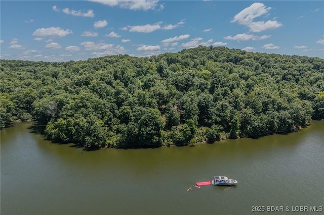 26450 Eaglepoint Rd Shoreline 2Ac, Unit 100, Barnett, MO 65011 - photo 4