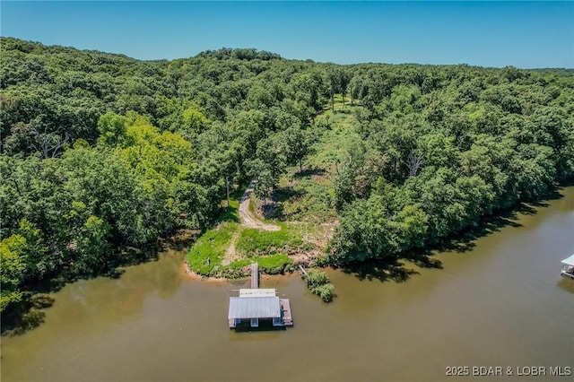 24 Lake Shore Rd, Rocky Mount, MO 65079 - photo 10