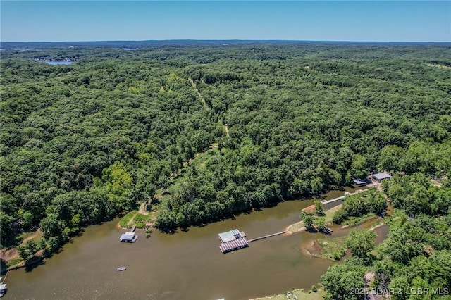 24 Lake Shore Rd, Rocky Mount, MO 65079 - photo 14