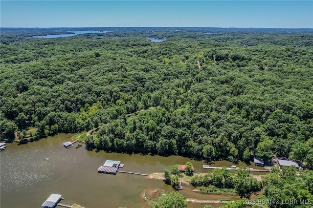 24 Lake Shore Rd, Rocky Mount, MO 65079 - photo 16