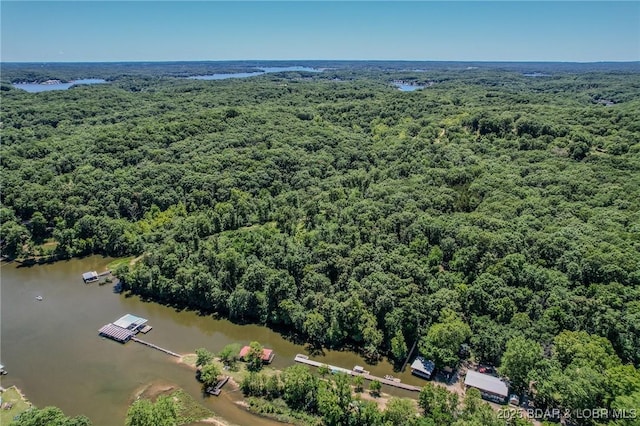 24 Lake Shore Rd, Rocky Mount, MO 65079 - photo 17