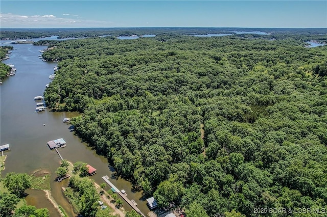 24 Lake Shore Rd, Rocky Mount, MO 65079 - photo 18