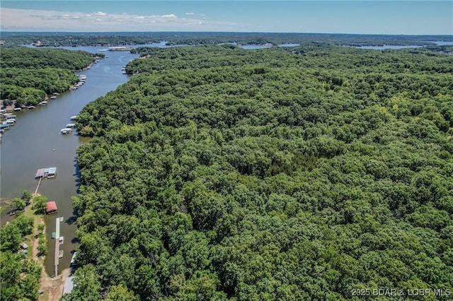 24 Lake Shore Rd, Rocky Mount, MO 65079 - photo 19