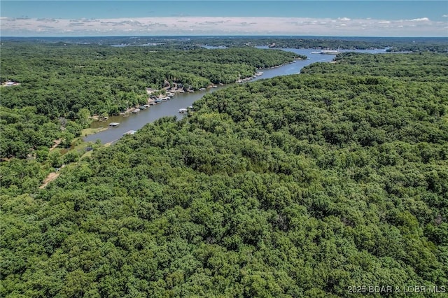 24 Lake Shore Rd, Rocky Mount, MO 65079 - photo 21