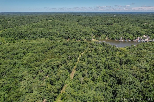24 Lake Shore Rd, Rocky Mount, MO 65079 - photo 24