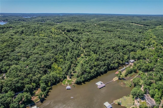 24 Lake Shore Rd, Rocky Mount, MO 65079 - photo 29