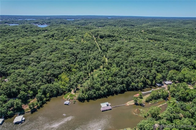 24 Lake Shore Rd, Rocky Mount, MO 65079 - photo 30