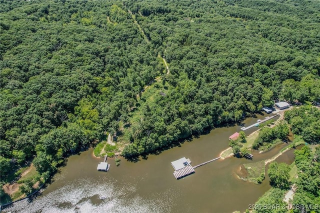 24 Lake Shore Rd, Rocky Mount, MO 65079 - photo 31
