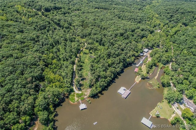 24 Lake Shore Rd, Rocky Mount, MO 65079 - photo 32