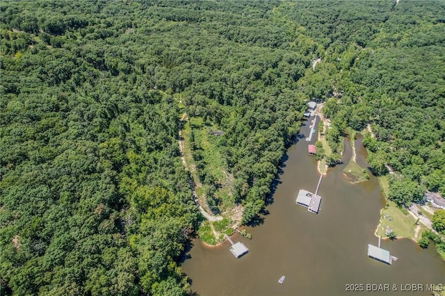 24 Lake Shore Rd, Rocky Mount, MO 65079 - photo 33