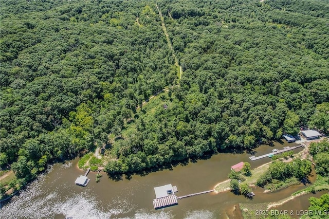 24 Lake Shore Rd, Rocky Mount, MO 65079 - photo 35