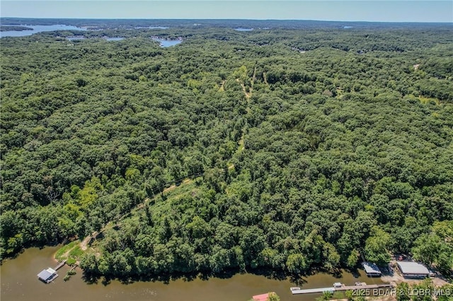 24 Lake Shore Rd, Rocky Mount, MO 65079 - photo 37
