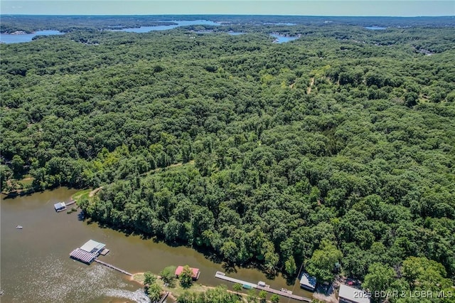 24 Lake Shore Rd, Rocky Mount, MO 65079 - photo 38