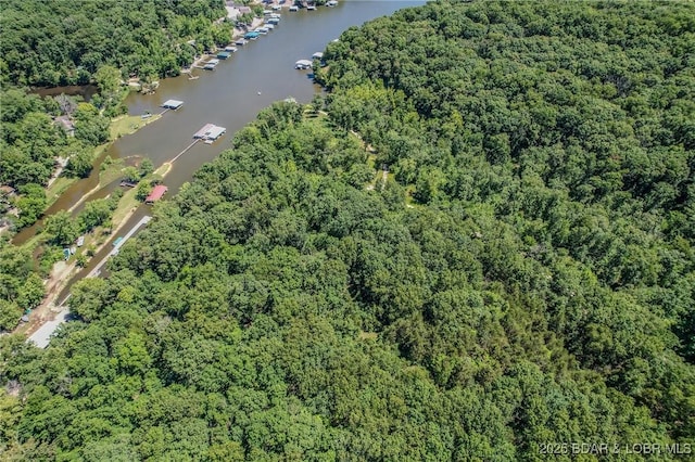 24 Lake Shore Rd, Rocky Mount, MO 65079 - photo 41