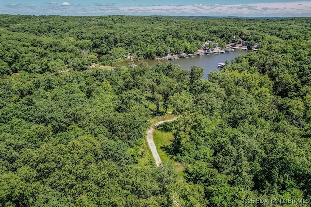 24 Lake Shore Rd, Rocky Mount, MO 65079 - photo 42