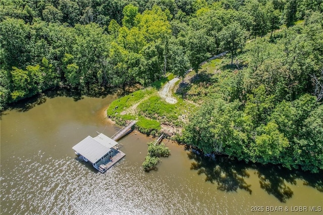 24 Lake Shore Rd, Rocky Mount, MO 65079 - photo 45