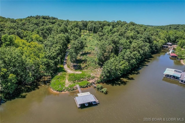 24 Lake Shore Rd, Rocky Mount, MO 65079 - photo 46