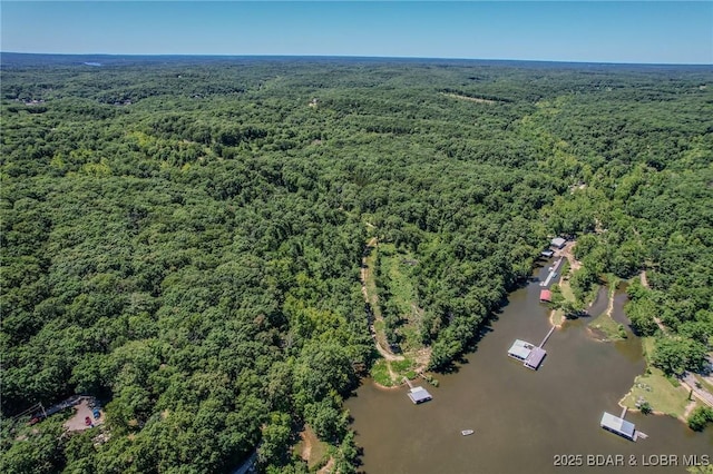 24 Lake Shore Rd, Rocky Mount, MO 65079 - photo 28