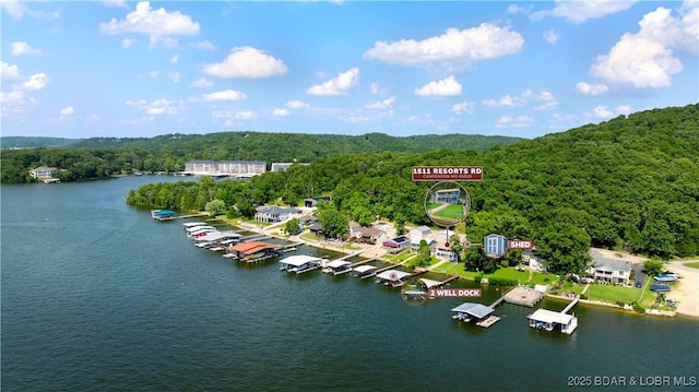 1511 Resorts Rd, Camdenton, MO 65020 - photo 40